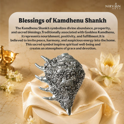 Divine Kamdehnu Shankh |999 Pure Silver Matt Plated
