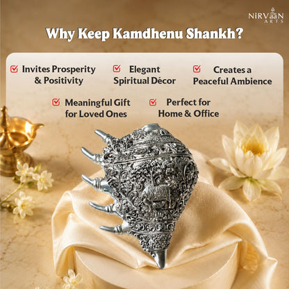 Divine Kamdehnu Shankh |999 Pure Silver Matt Plated