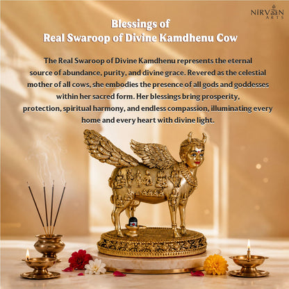 Real Swaroop of Divine Kamdhenu Cow Idol | Surabhi Mata| Pure Gold Plated