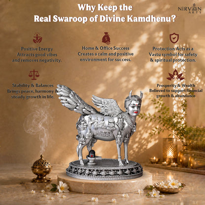 Real Swaroop of Divine Kamdhenu Cow Idol | Surabhi Mata| Pure Silver Plated
